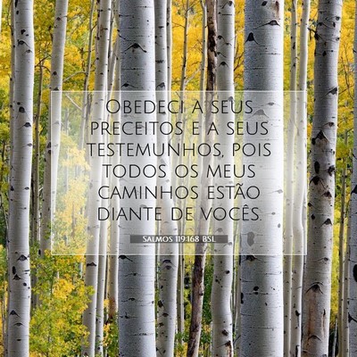 Salmos 119:168 Versículo Bíblico Explicado