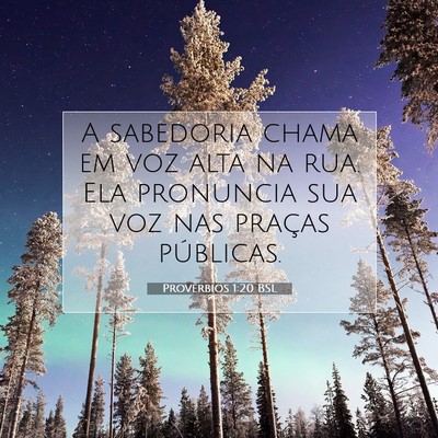 Provérbios 1:20 Versículo Bíblico Explicado