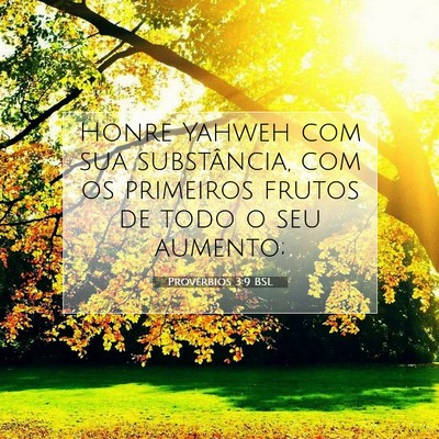 Provérbios 3:9 Versículo Bíblico Explicado