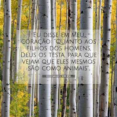 Eclesiastes 3:18 Versículo Bíblico Explicado