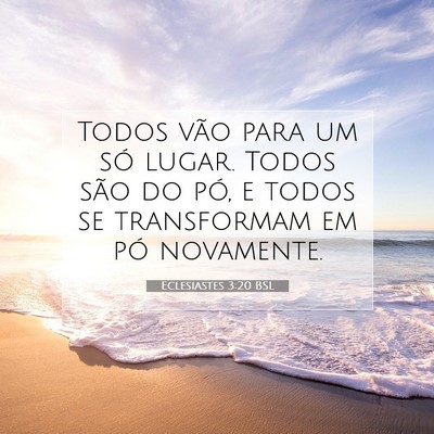 Eclesiastes 3:20 Versículo Bíblico Explicado