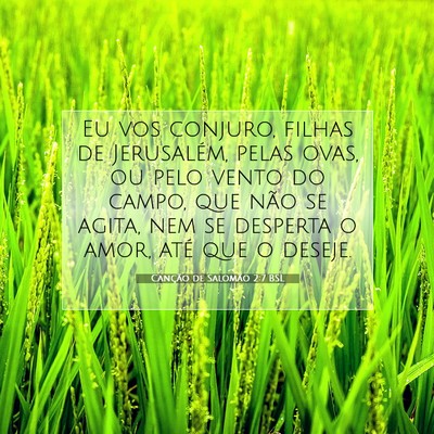 Canção de Salomão 2:7 Versículo Bíblico Explicado