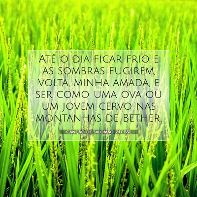 Canção de Salomão 2:17 Versículo Bíblico Explicado