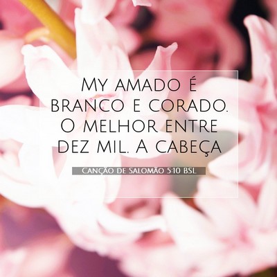 Canção de Salomão 5:10 BSL Imagem do Versículo Bíblico