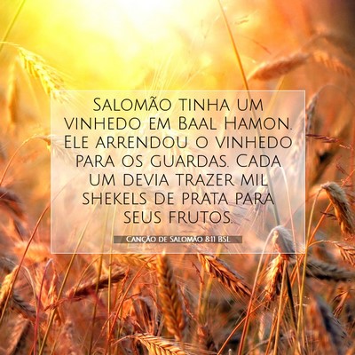 Canção de Salomão 8:11 BSL Imagem do Versículo Bíblico