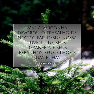 Jeremias 3:24 Versículo Bíblico Explicado