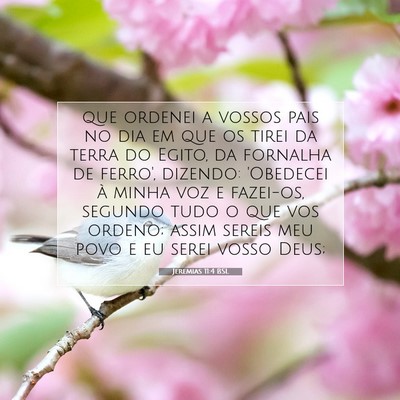 Jeremias 11:4 Versículo Bíblico Explicado