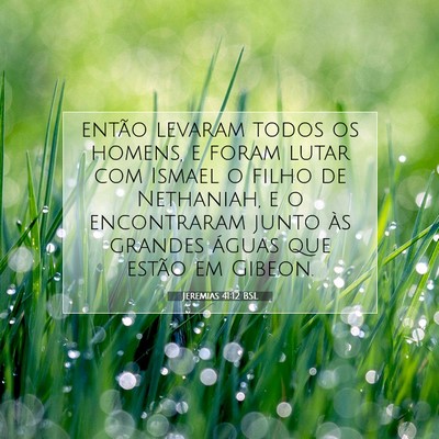 Jeremias 41:12 Versículo Bíblico Explicado