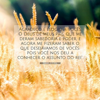 Daniel 2:23 BSL Imagem do Versículo Bíblico