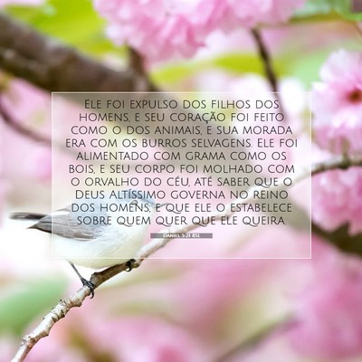 Daniel 5:21 Versículo Bíblico Explicado