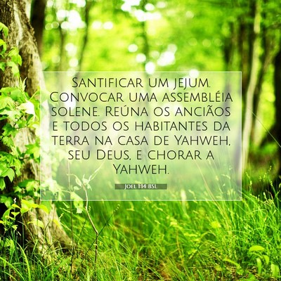Joel 1:14 Versículo Bíblico Explicado