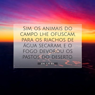 Joel 1:20 Versículo Bíblico Explicado