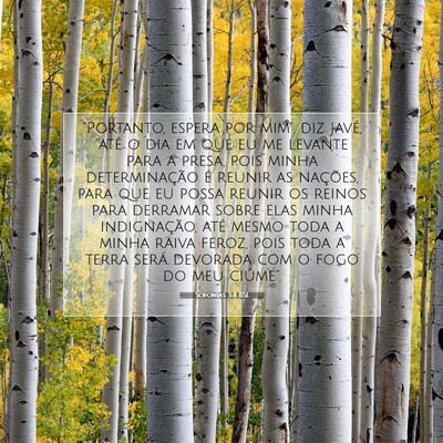 Sofonias 3:8 BSL Imagem do Versículo Bíblico