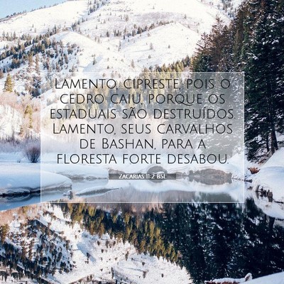 Zacarias 11:2 BSL Imagem do Versículo Bíblico