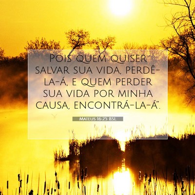 Mateus 16:25 Versículo Bíblico Explicado