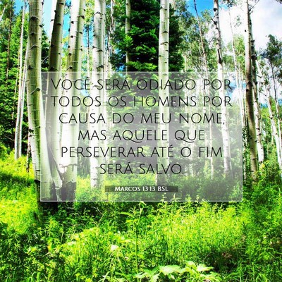 Marcos 13:13 BSL Imagem do Versículo Bíblico