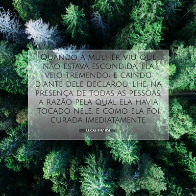 Lucas 8:47 Versículo Bíblico Explicado