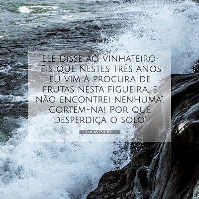Lucas 13:7 Versículo Bíblico Explicado