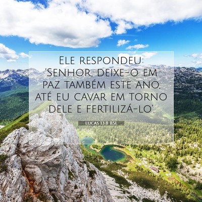 Lucas 13:8 Versículo Bíblico Explicado