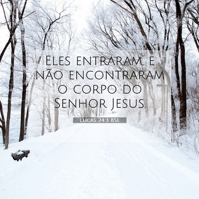 Lucas 24:3 BSL Imagem do Versículo Bíblico