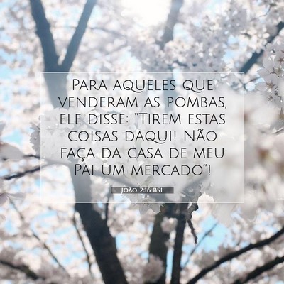João 2:16 BSL Imagem do Versículo Bíblico