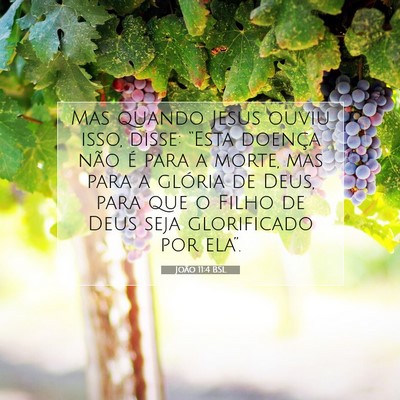 João 11:4 BSL Imagem do Versículo Bíblico