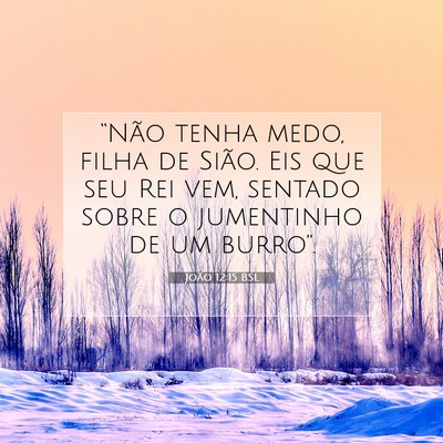 João 12:15 Versículo Bíblico Explicado