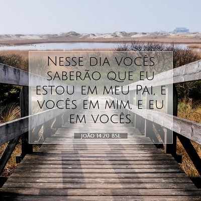 João 14:20 Versículo Bíblico Explicado