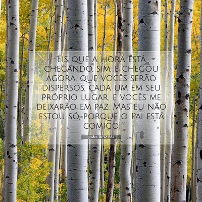 João 16:32 BSL Imagem do Versículo Bíblico