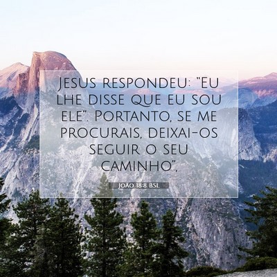 João 18:8 Versículo Bíblico Explicado