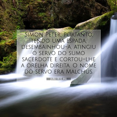 João 18:10 Versículo Bíblico Explicado
