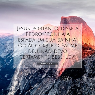 João 18:11 Versículo Bíblico Explicado