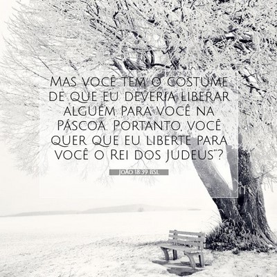 João 18:39 Versículo Bíblico Explicado