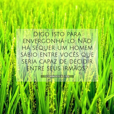 1 Coríntios 6:5 BSL Imagem do Versículo Bíblico