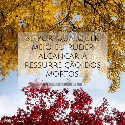 Filipenses 3:11 Versículo Bíblico Explicado